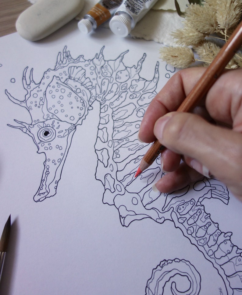May include: A black and white line drawing of a seahorse on white paper. A hand is coloring the seahorse with a red colored pencil.
