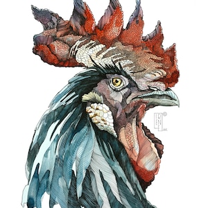 LIMITED EDITION PRINT "Black Rooster", Giclee print, home decor, kunst aan de muur, illustratie, aquarel, dierlijke kunst, portret, tekening