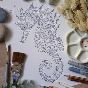 May include: A detailed line drawing of a seahorse with intricate patterns and textures. The seahorse is curled in a spiral shape with its tail wrapped around its body. The drawing is on a white background.
