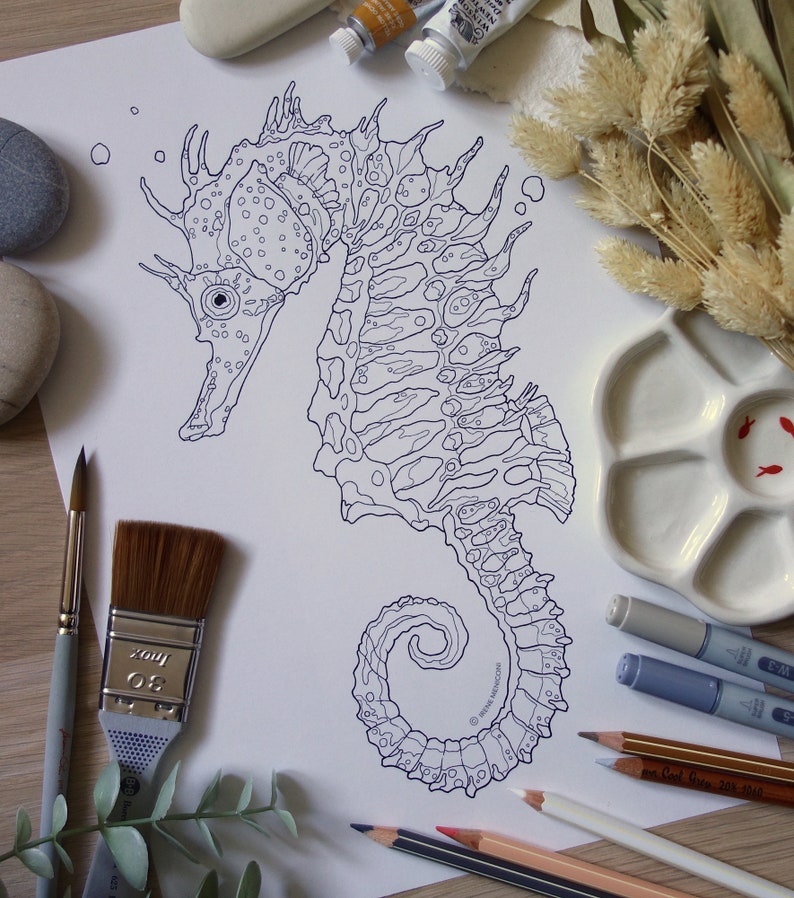 May include: A detailed line drawing of a seahorse with intricate patterns and textures. The seahorse is curled in a spiral shape with its tail wrapped around its body. The drawing is on a white background.