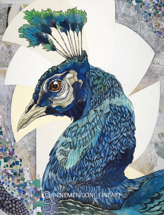 Peacocks boys cheap coats