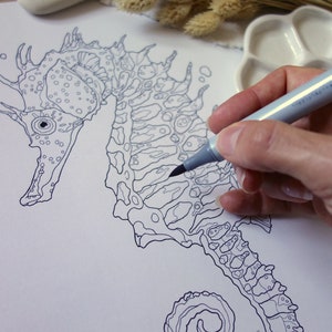 May include: A black and white line drawing of a seahorse on white paper. A hand is holding a gray marker and coloring in the seahorse.