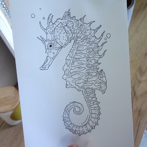 May include: A black and white line drawing of a seahorse with intricate details. The seahorse is facing left and has a curled tail. The drawing is on a white background.