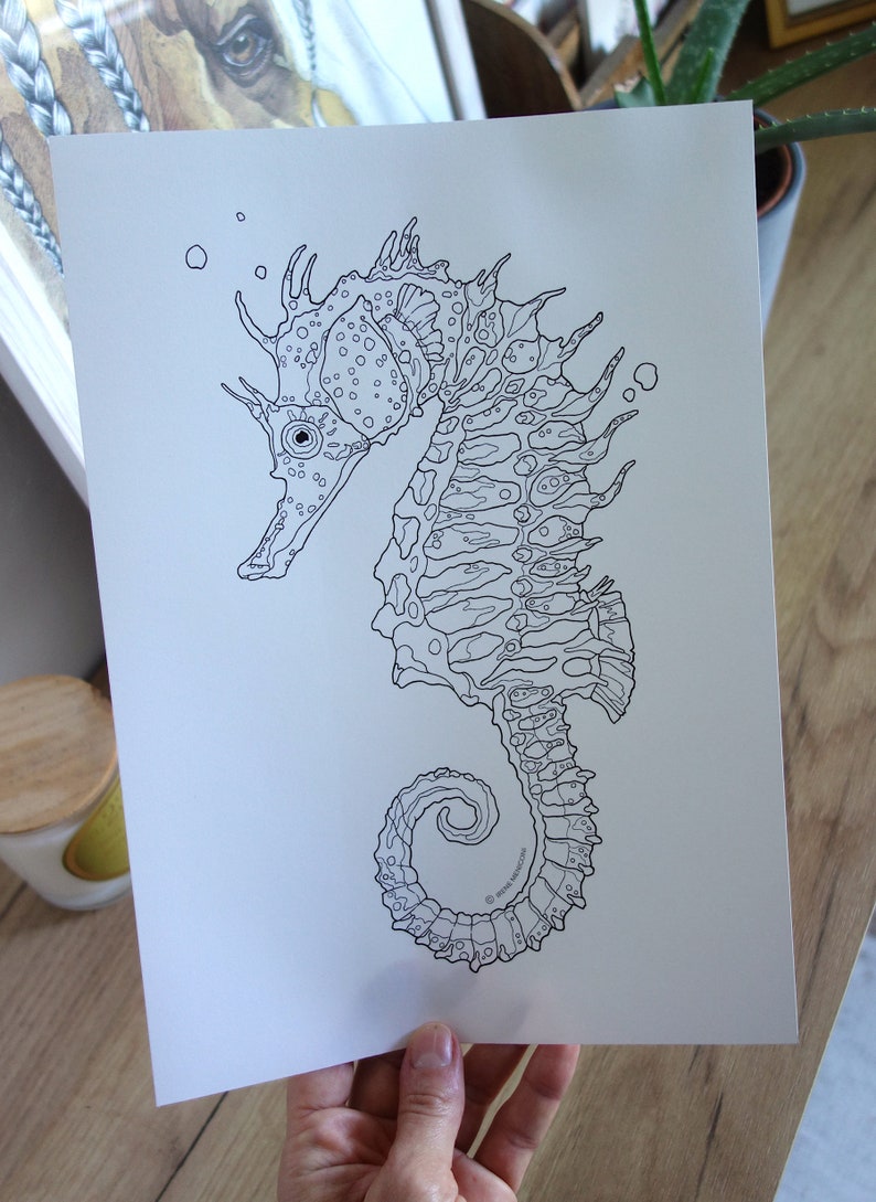 May include: A black and white line drawing of a seahorse with intricate details. The seahorse is facing left and has a curled tail. The drawing is on a white background.