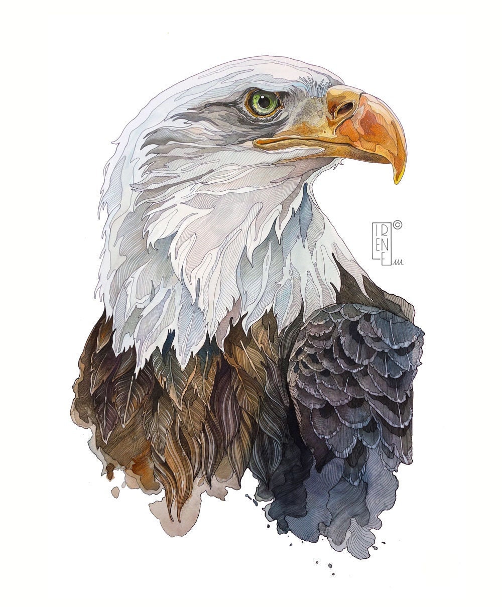 Edición limitada IMPRESIÓN \, image size:1000x1209