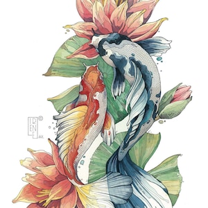 LIMITED EDITION PRINT "koi karper en waterlelies", vissen en bloemen, giclée print, illustratie, dierlijke kunst, kunst aan de muur, aquarel, tekening