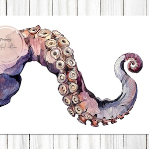LIMITED EDITION PRINT, "Tentacle", octopus, giclee print, interieurdecoratie, illustratie, aquarel, dierenkunst