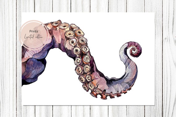 マツダケン　原画(タコ) 夏垂』 P20 H727×W530mm 水彩紙、水彩、ペン #マツダケン #kenmatsuda