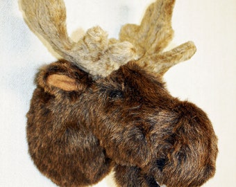real stuffed moose head wall mount