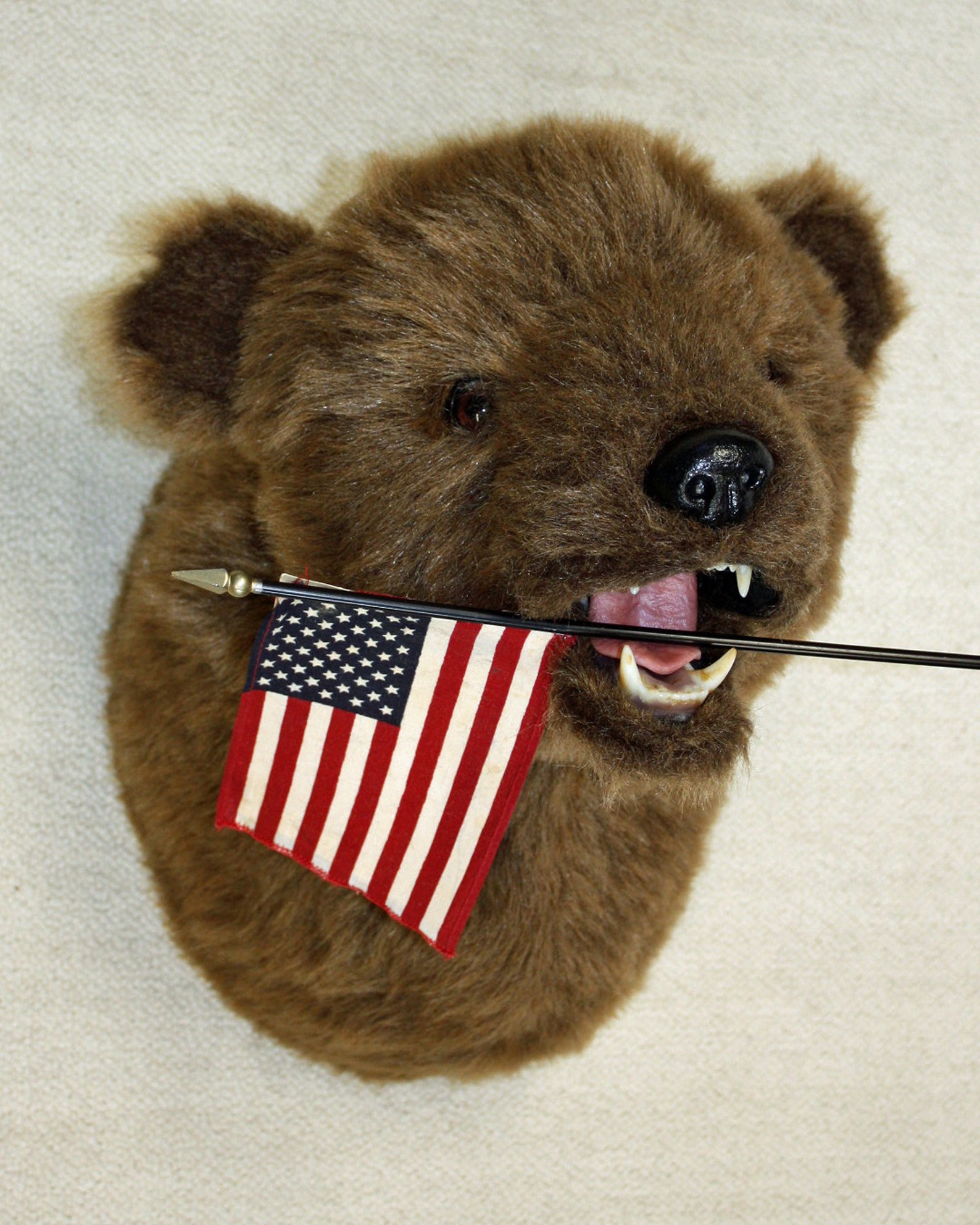 kodiak bear plush toy