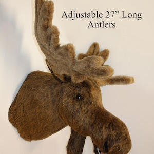 Moose Largest Plush Wall Mount - &#39;Weston&#39;