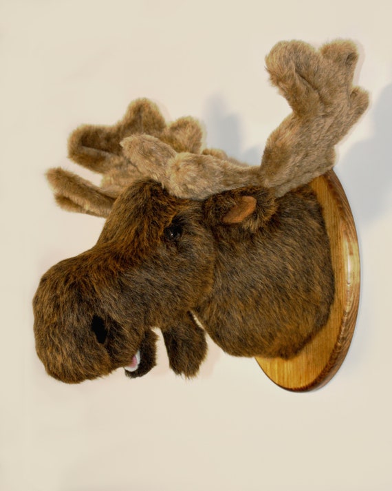 Stuffed moose head wall mount top