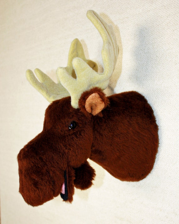 real stuffed moose head wall mount