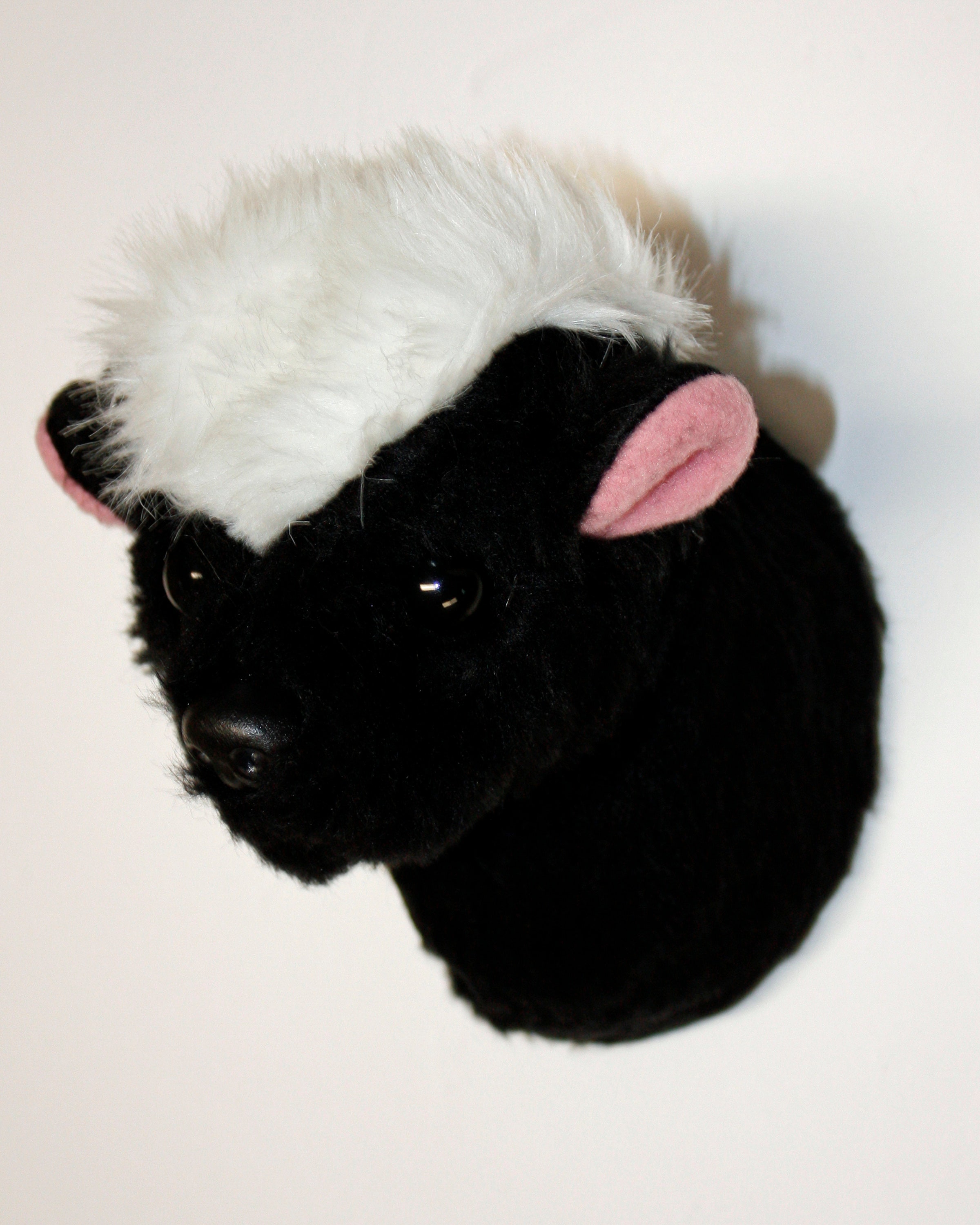 Skunk Tiny Plush Wall Mount - 'Keegan'
