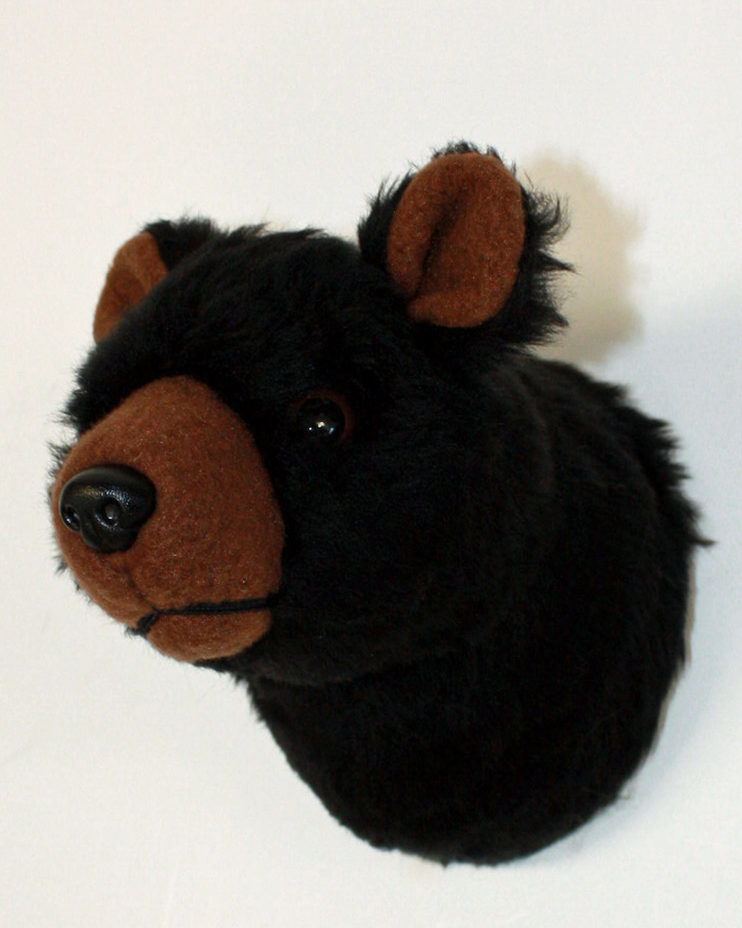 stuffed bear head wall mount