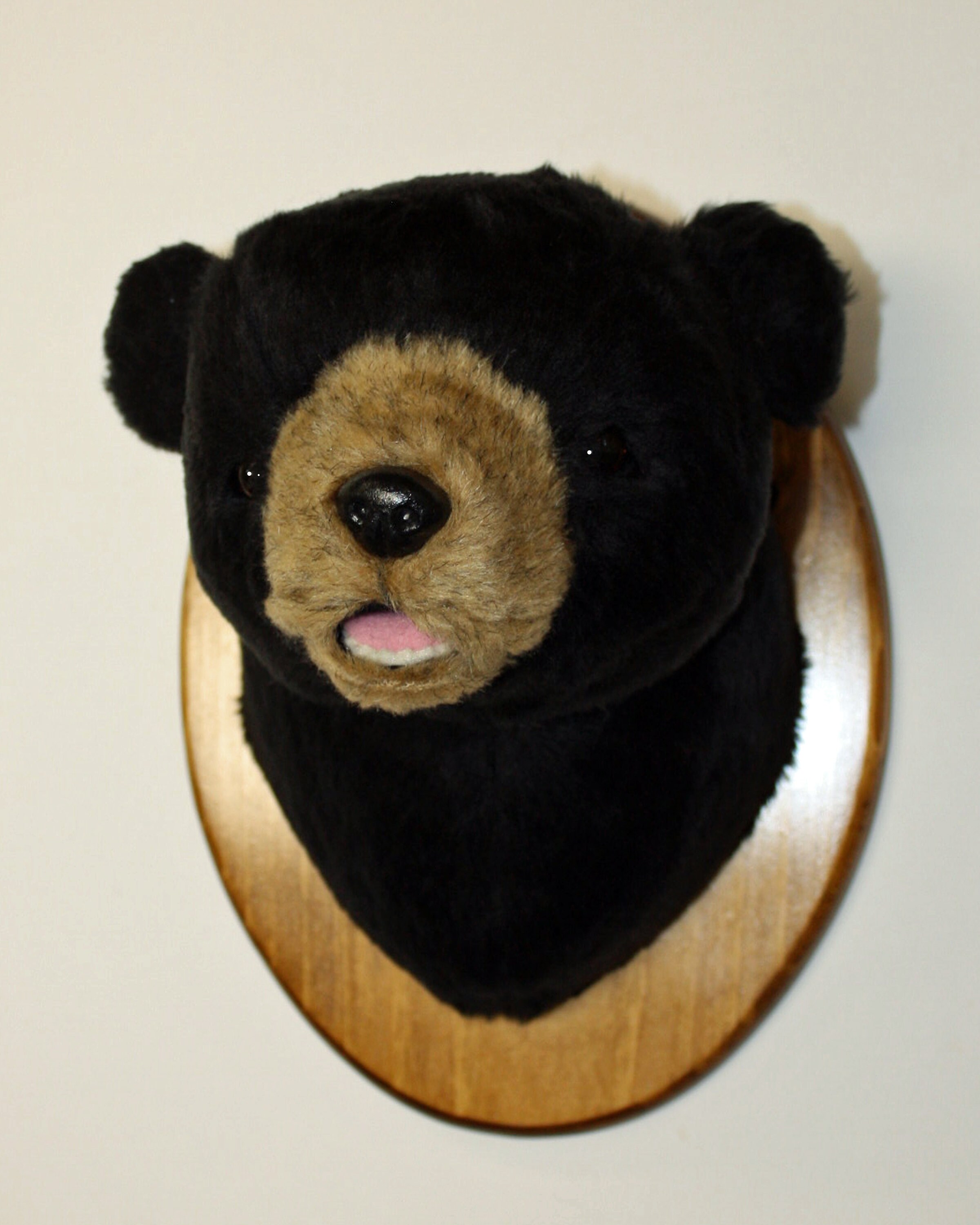 Stuffed bear head mount discount