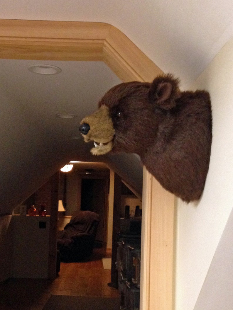 Plush Brown Bear Head Max Large Wall Mount Etsy