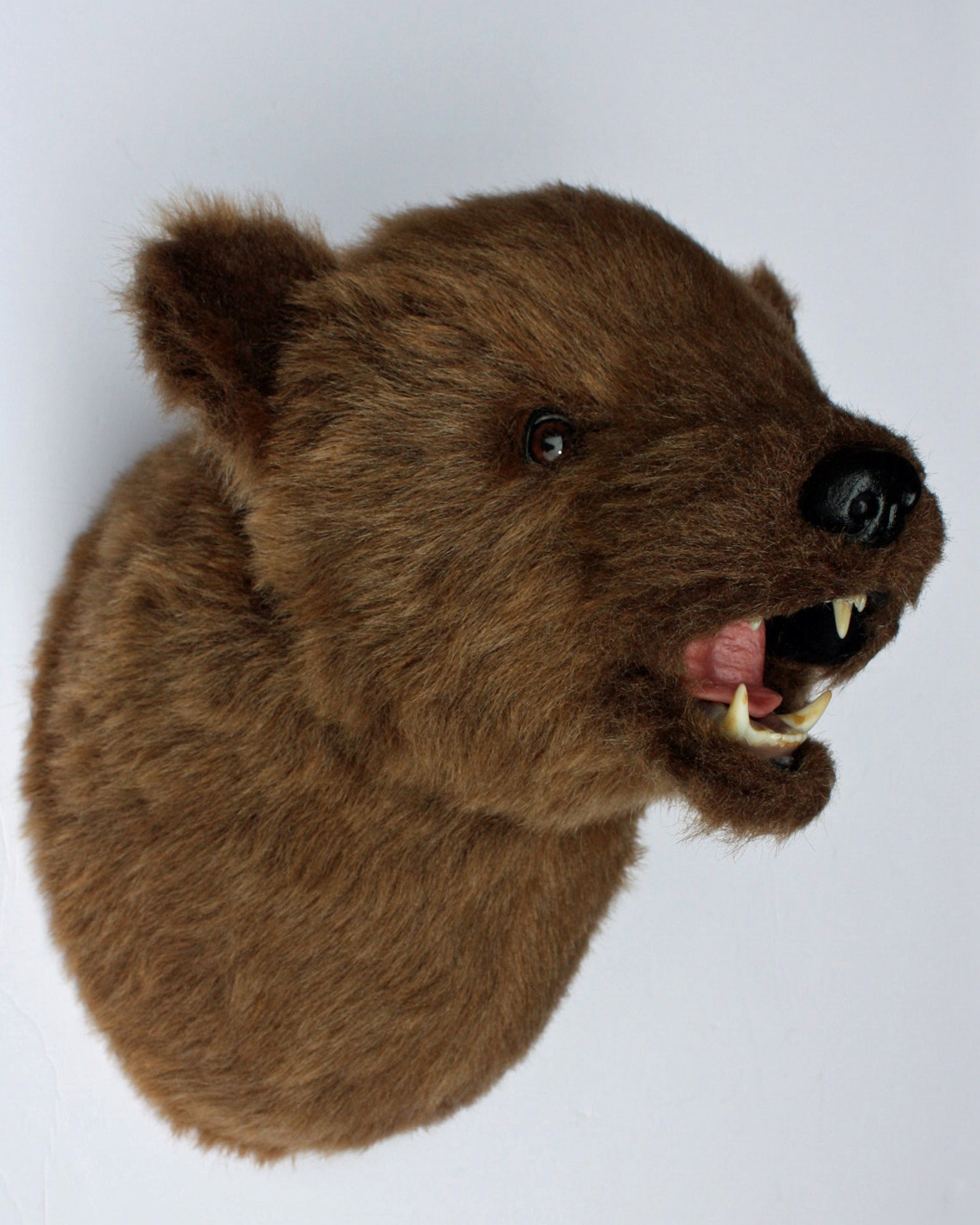 Plush Kodiak Bear Head shash Large Wall Mount | Etsy