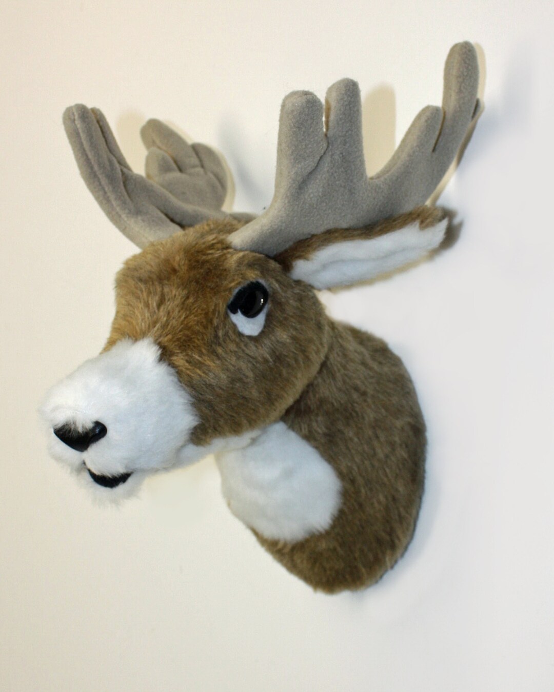 Stuffed Animal Wall Mountnull