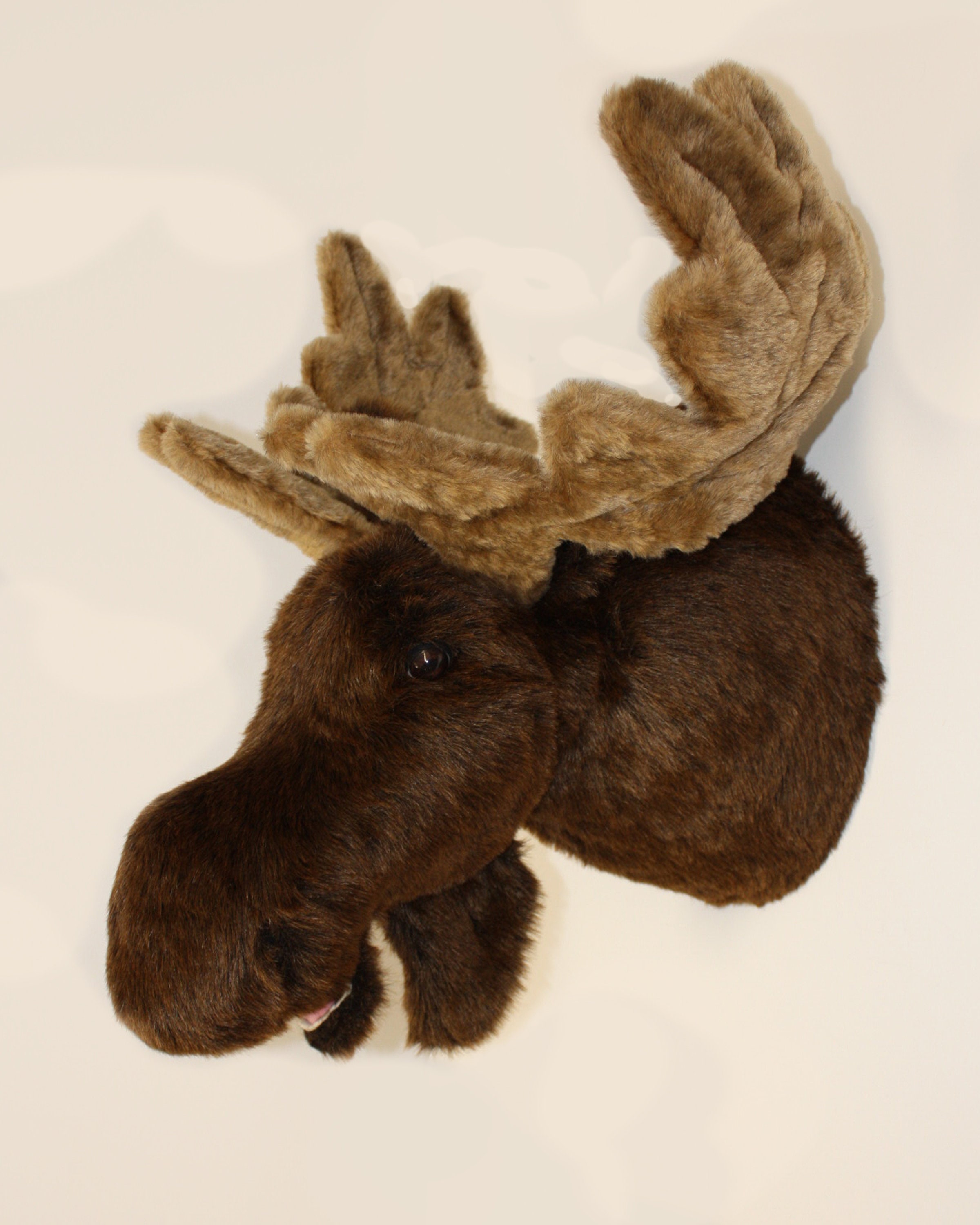 stuffed moose head