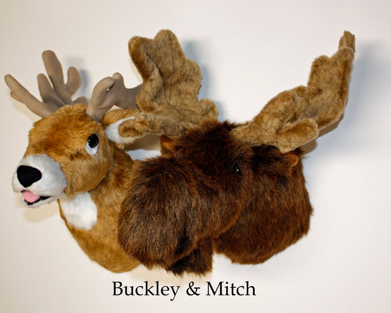 Plush Deer Head buckleymedium Wall Mount Etsy