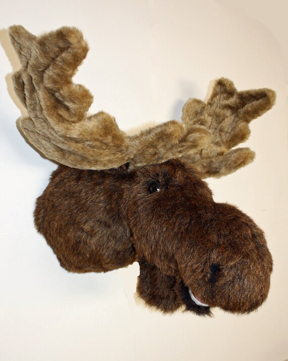 stuffed moose head