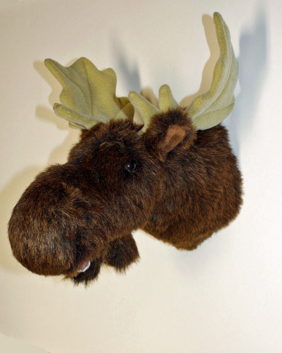 stuffed moose head