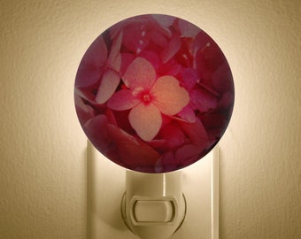 Flower Lover Gift, Gift for Flower Loving Mother, Night Light, Hydrangea Gift, Plug in Night Light, Flower Night Light, Light Design