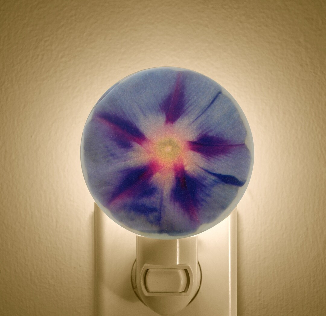 Night Light, Morning Glory Gift, Purple Night Light, Morning Glory Night Light, Flower Night