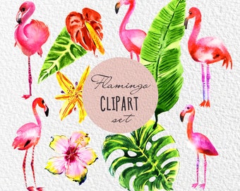 Flamingo clipart. Flamingo watercolor clipart. Flamingo clipart watercolor. Watercolor flamingo clipart. Tropical clipart. Watercolor art.