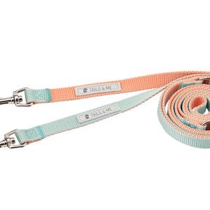 Classic 5 Way Nylon Adjustable Dog / Pet Leash Series (Dual Color -Salmon / Mint)