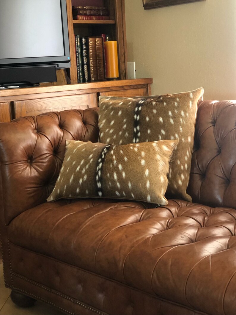 HUGE Square Premium South Texas Axis Deer Hide & Rustic - Etsy