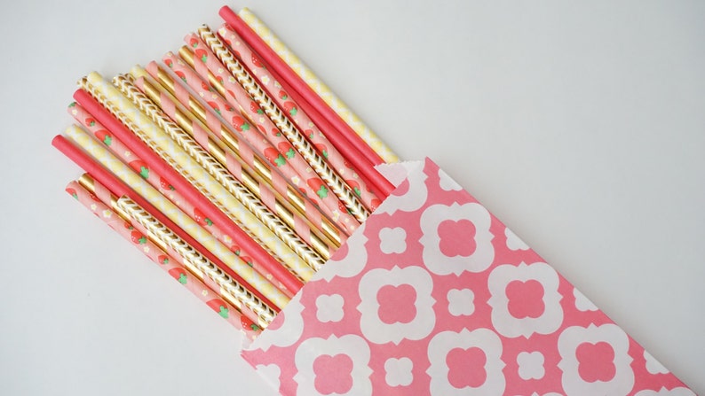 Strawberry Shortcake Party Straws Strawberry Shortcake Etsy
