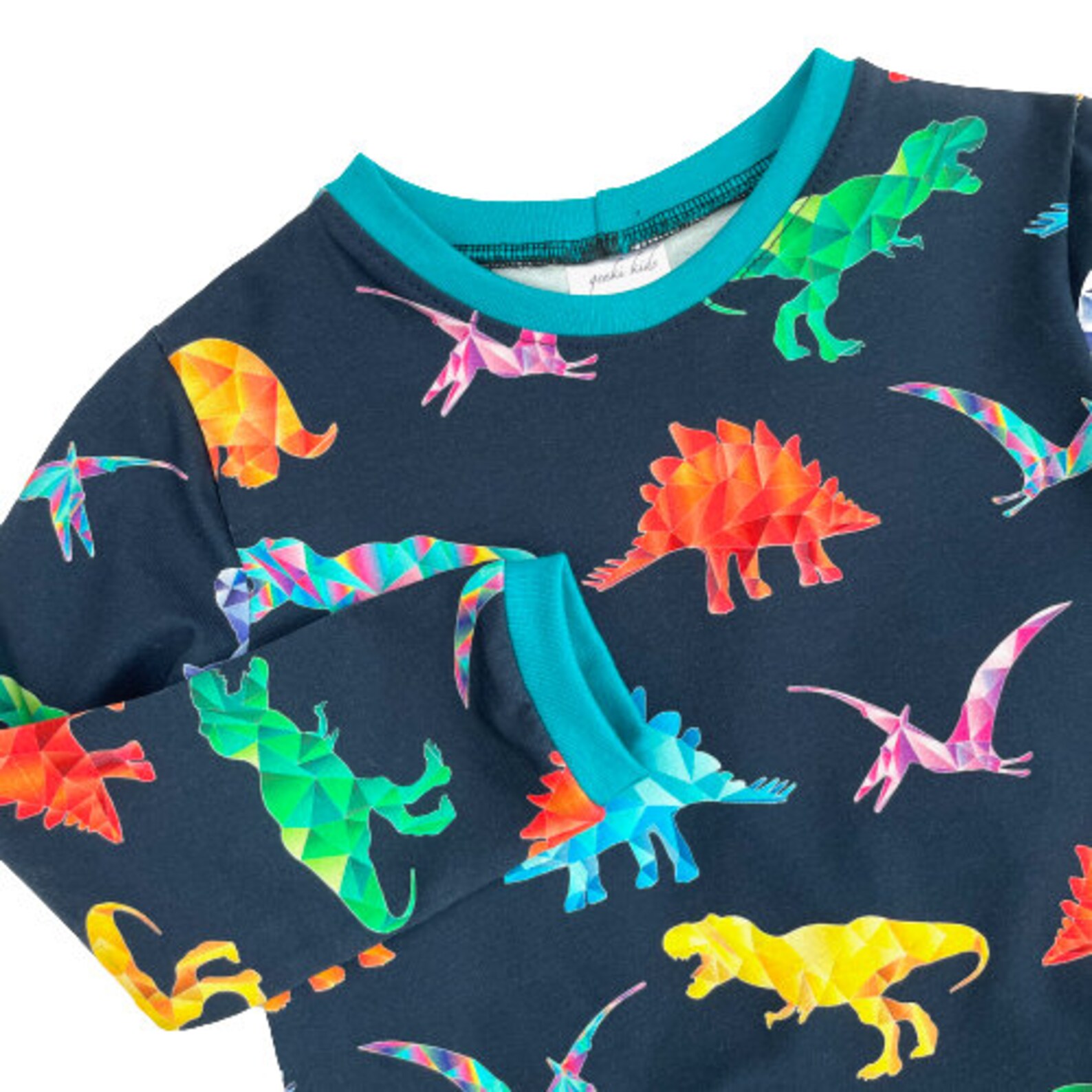 Dinosaur Organic Sweatshirt Kids Lightweight Sweater Etsy