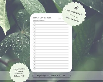 Diario de gratitud de una línea al día imprimible