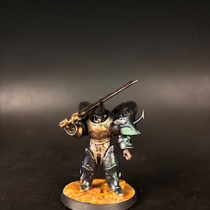 Pro painted Beetle knight