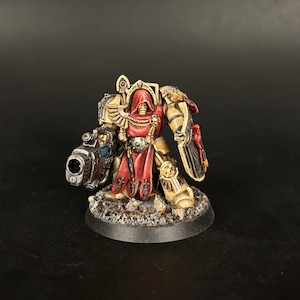 Pro painted Dark Angel Terminator