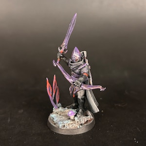 Pro painted armored dark elf