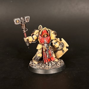 Pro painted Dark Angel Terminator