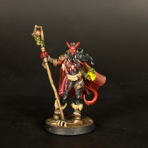 Pro painted female Tiefling mini