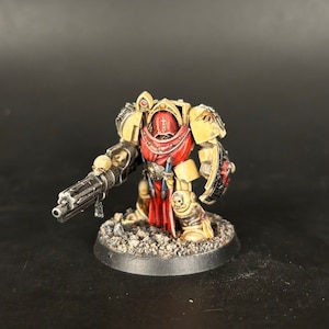 Pro painted Dark Angel Terminator