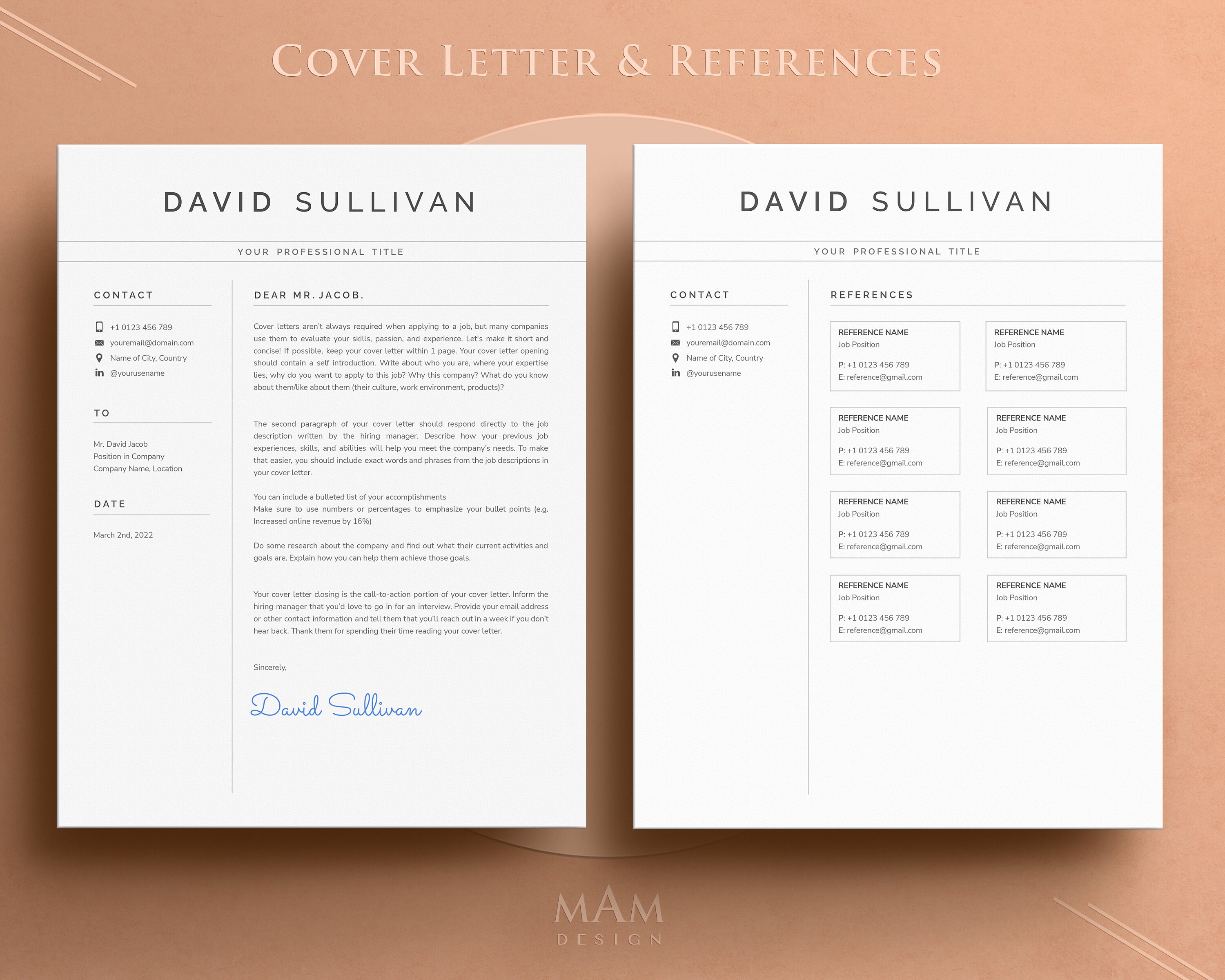 Resume Template Google Docs Resume Professional Resume Template for