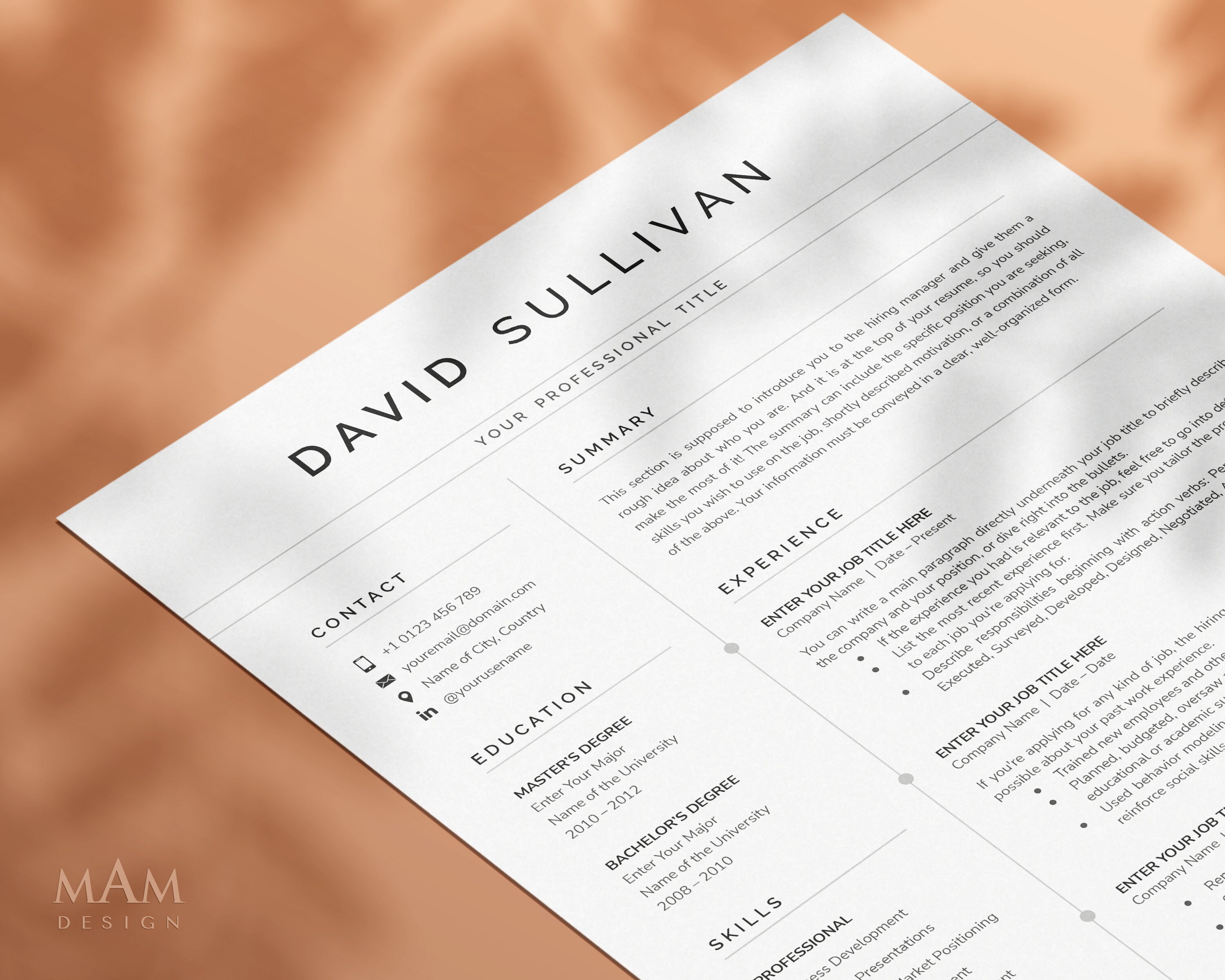 Resume Template Google Docs Resume Professional Resume Template for