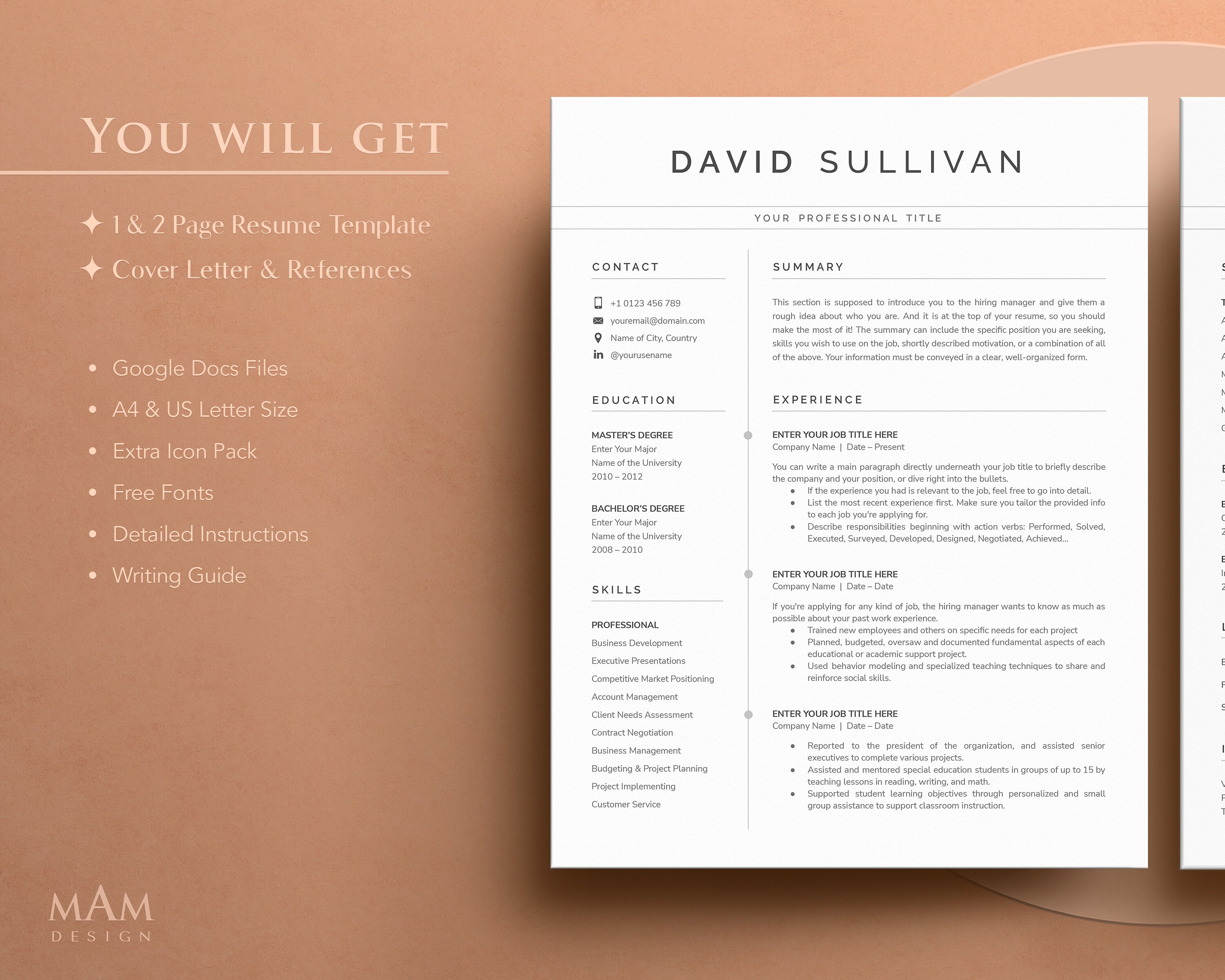 Resume Template Google Docs Resume Professional Resume Template for