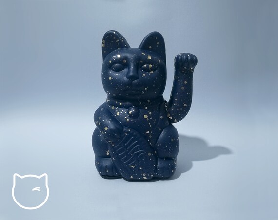 midnight blue cat