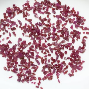 May include: A scattering of small, irregularly shaped ruby gemstones on a white background. The rubies exhibit deep red and pink tones, with varying translucency and texture. The gemstones are of different sizes and shapes.
