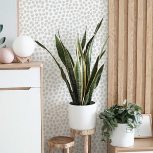 May include: A modern interior scene featuring a tall snake plant in a white pot on a wooden stool. The background includes a patterned wallpaper, a wooden accent wall, and a white cabinet. A smaller plant in a white pot is also visible.