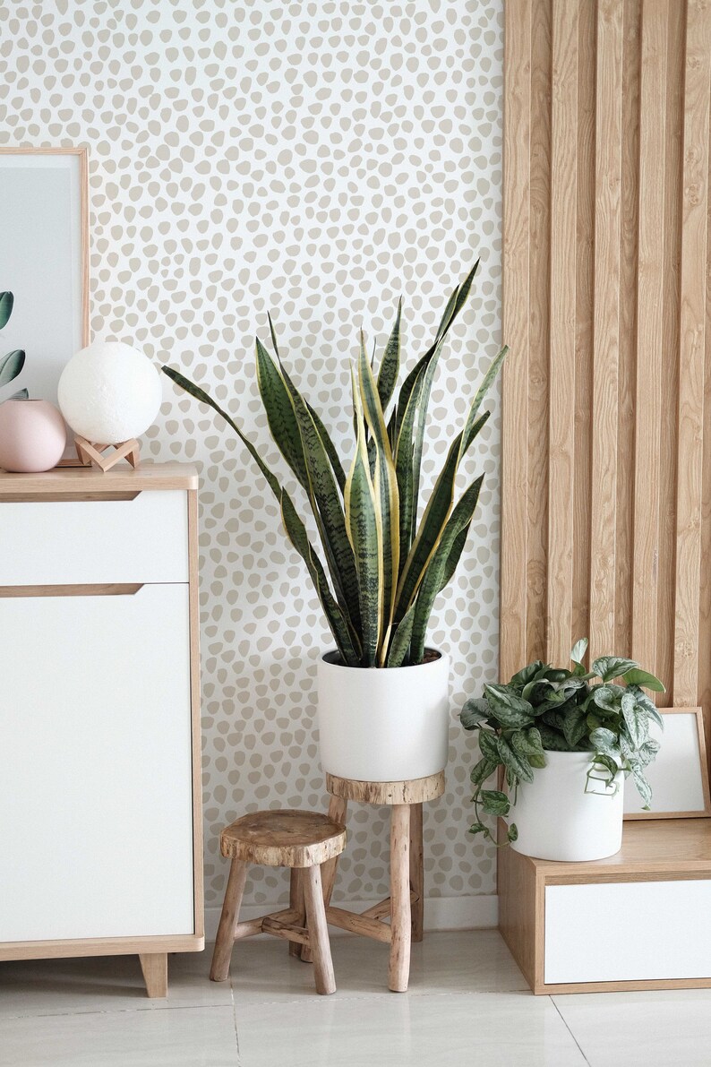 May include: A modern interior scene featuring a tall snake plant in a white pot on a wooden stool. The background includes a patterned wallpaper, a wooden accent wall, and a white cabinet. A smaller plant in a white pot is also visible.