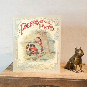 Pode incluir: Capa de livro vintage com o título "Peeps at Our Pets" com uma ilustração de três crianças a pescar. O livro está em cima de uma caixa de madeira com o texto "Cal Pack From The Land Of Sunshine Fruits" impresso na frente.