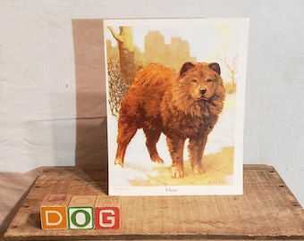 Original Vintage Chow Print ~ Chow Chow ~ Artist O. A. Scott ~ 1941 Salvaged Book Plate